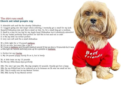 Cute Dog Clothes,Dog T Shirt for Medium Dogs.Dog Clothes for Small Dogs Girl Boy,Puppy.Breathable Soft Dog Costume Pet Dogs Cats,Pet Pullover Jumper,Cat Clothes (L-(10~17lb), Chest~18", Aqua) - PAWPICO