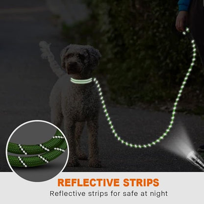 Taglory Rope Dog Leash 4 FT with Comfortable Padded Handle, Highly Reflective Threads Leash for Small Dogs, 3/8 inch, Green Taglory