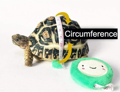 Vehomy Turtle leash Lizard Leash Tortoise Harness Strap Pet Collar Leash Tortoise Walking Lead Control Rope S Vehomy