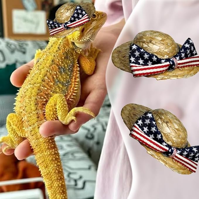 Bearded Dragon Pet Caps Tiny Pet Costume Supplies Party Daily Decor Small pet Adjustable for Bearded Dragon Lizard Reptiles HOKABLE