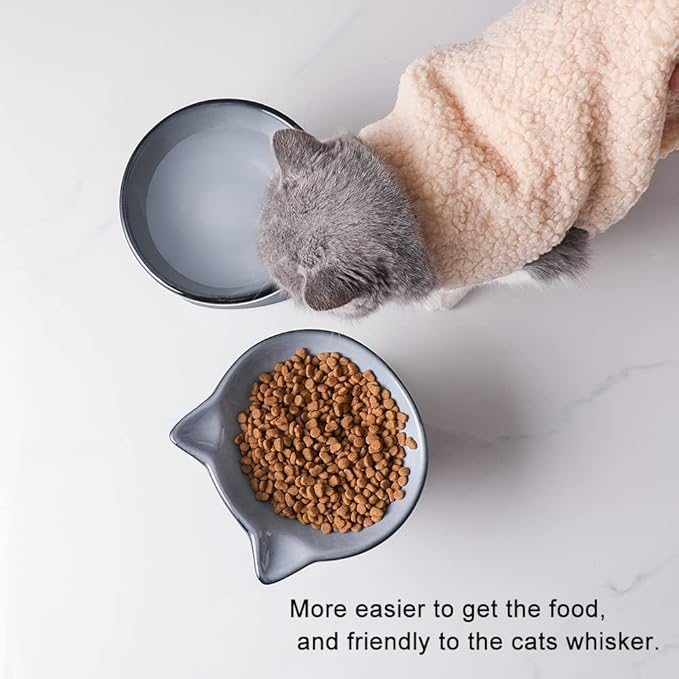 Nihow Ceramic Raised Cat & Dog Bowls: 5 Inch Elegant Gray (2 PC), Protecting Pet's Spine, Feeding & Watering Supplies, Modern Design, Anti Vomiting, Whisker Friendly - PAWPICO