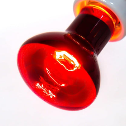 REPTIZOO 75W Reptile Heat Lamp Bulb 2PCS Infrared Heat Emitter Red Heat Lamp for Reptile Amphibian, Infrared Basking Spot Light Bulb REPTIZOO
