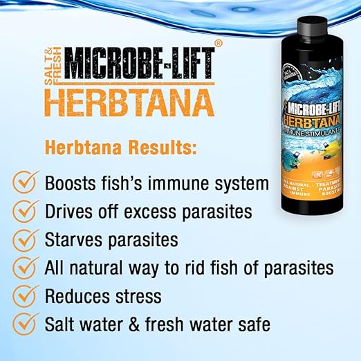 MICROBE-LIFT HERB16 Herbtana Immune Booster and Natural Parasite Remover for Freshwater and Saltwater Home Aquariums and Fish Tanks, 16 Ounces Microbe-Lift