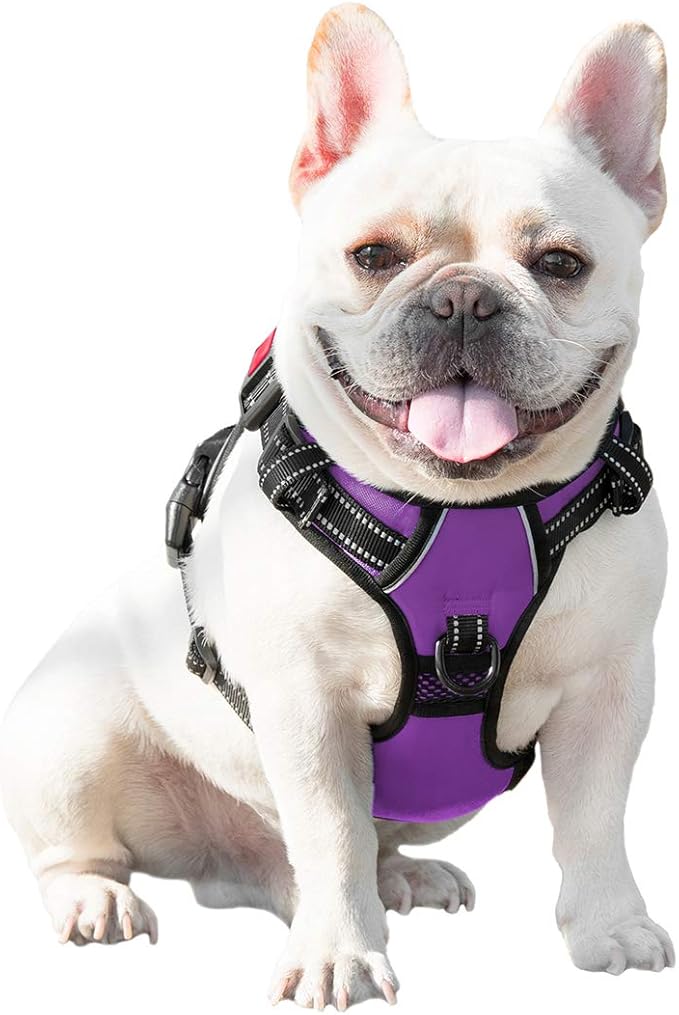 PHOEPET No Pull Dog Harnesses for Small Dogs Reflective Adjustable Front Clip Vest with Handle 2 Metal Rings 3 Buckles [Easy to Put on & Take Off](XS, Purple) PHOEPET