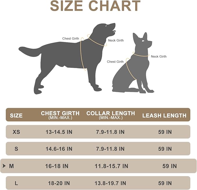 EXPAWLORER Classic Plaid Puppy Harness - Small Dog Harness and Leash Set - Dog Collar and Leash Set with AirTag Holder, Soft Padded Step in Dog Vest Harness No Pull Reflective for Outdoor, Khaki M EXPAWLORER