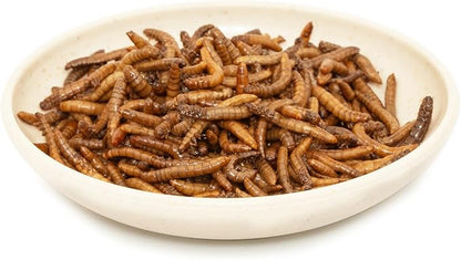 6 Pack Canned Mealworms for Reptiles, Fish, Birds and Small Animals, Meal Worms, Healthy High Protein Treat, Reptile Bird Fish Food 7.2 Ounces Total Jadingfarm
