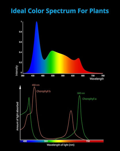 NICREW ClassicLED Plus LED Aquarium Light with Timer, 18 Watts, for 24 to 30 Inch Fish Tank Light, Daylight and Moonlight Cycle, Brightness Adjustable NICREW