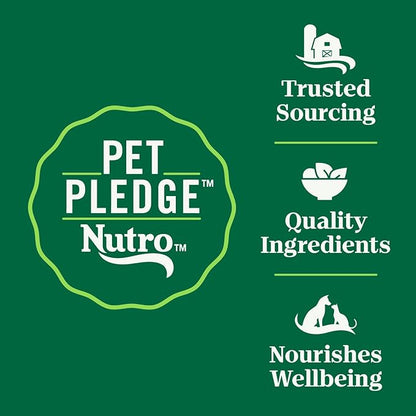 Nutro Wholesome Essentials Indoor Dry Cat Food, Chicken & Brown Rice Recipe, 14 lbs. - PAWPICO