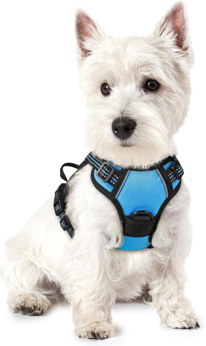 rabbitgoo Dog Harness No Pull with 2 Leash Clips, Adjustable Soft Padded, Reflective Oxford No Choke Pet Vest with Easy Control Handle for Puppy, Blue, XS rabbitgoo