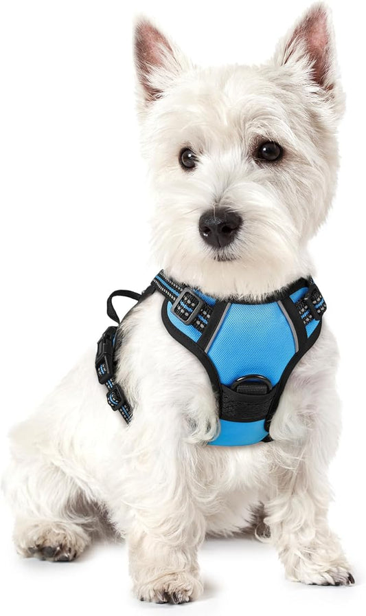 rabbitgoo Dog Harness No Pull with 2 Leash Clips, Adjustable Soft Padded, Reflective Oxford No Choke Pet Vest with Easy Control Handle for Puppy, Blue, XS rabbitgoo