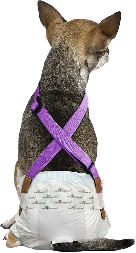 Paw Inspired Dog Diaper Suspenders with Velcro Fasteners | Stretchy Adjustable Suspenders for Female and Male Disposable and Washable Diapers | Fits Small, Medium and Large Size Pets (XS/S, Purple) - PAWPICO