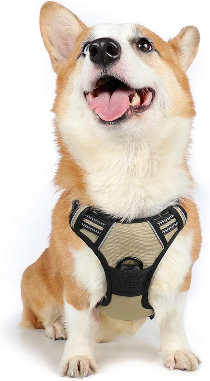 rabbitgoo Dog Harness, No-Pull Pet Harness with 2 Leash Clips, Adjustable Soft Padded Dog Vest, Reflective No-Choke Pet Oxford Vest with Easy Control Handle for Medium Dogs, Beige, M - PAWPICO