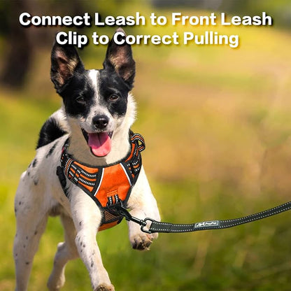 PoyPet No Pull Dog Harness, No Choke Front Clip Reflective Dog Vest with Soft Padded Vertical Handle, 3 Leash Attachments for Small Medium Large Dogs (Orange,M) PoyPet