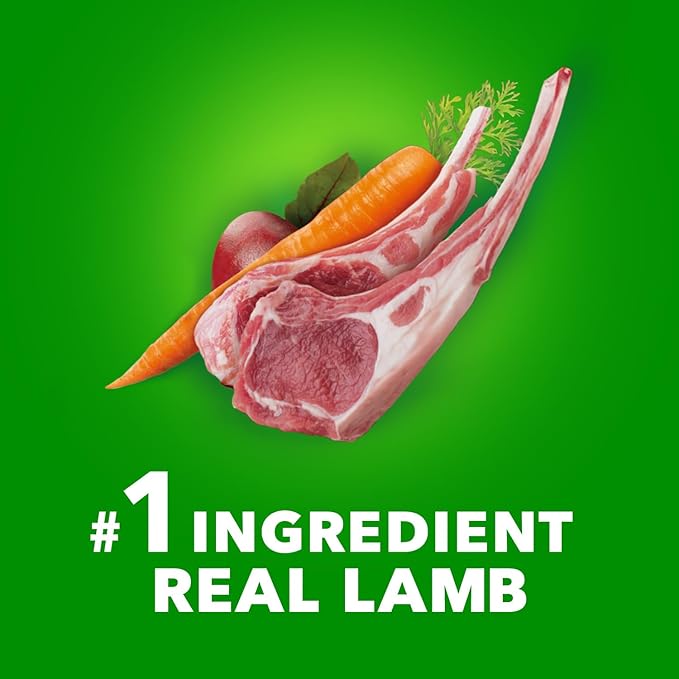 IAMS Large Breed Adult Dry Dog Food Lamb & Rice Recipe, 15 lb. Bag - PAWPICO