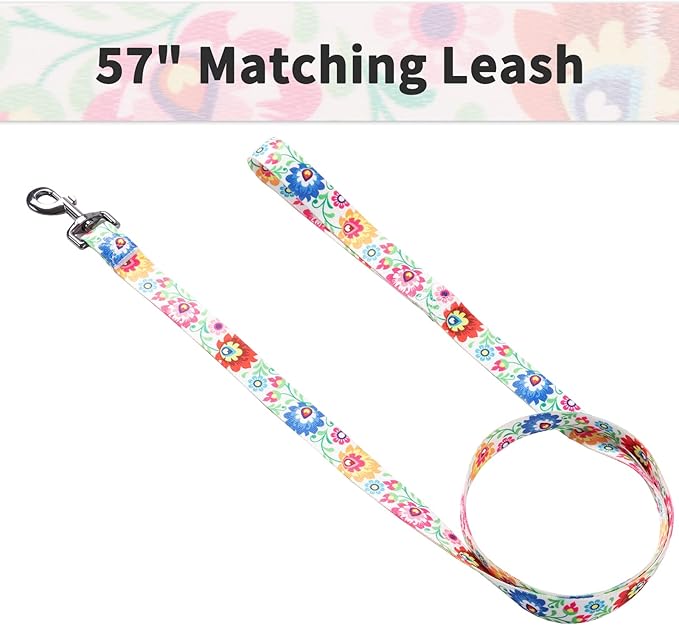 Ihoming Puppy Collar and Leash Set for Daily Outdoor Walking Running Training, White Colorful Flowers Design for Extra Small Boys Girls Dogs Cats Pets, XS-Up to 10LBS Ihoming