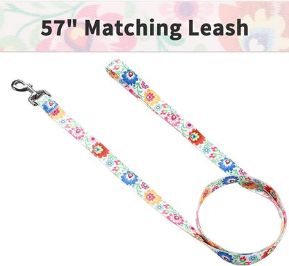 Ihoming Puppy Collar and Leash Set for Daily Outdoor Walking Running Training, White Colorful Flowers Design for Extra Small Boys Girls Dogs Cats Pets, XS-Up to 10LBS Ihoming