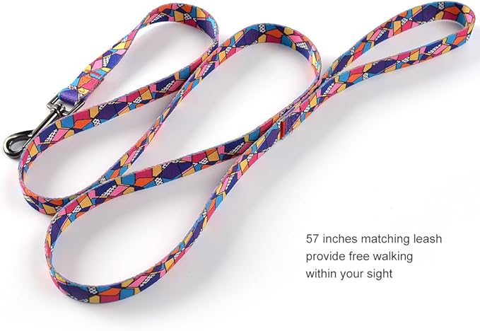 Ihoming Dog Collar and Leash Set for Daily Outdoor Walking Running Training, Geometric Design for Medium Boys Girls Dogs Cats Pets, M-Up to 45LBS Ihoming