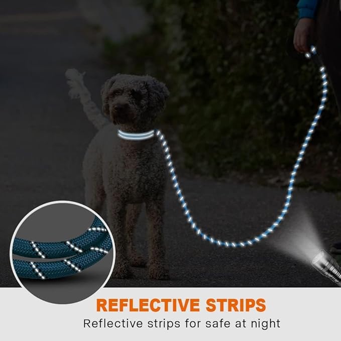 Taglory Rope Dog Leash 6FT with Comfortable Padded Handle, Highly Reflective Threads Leash for Small Dogs, 3/8 inch, Blue Taglory