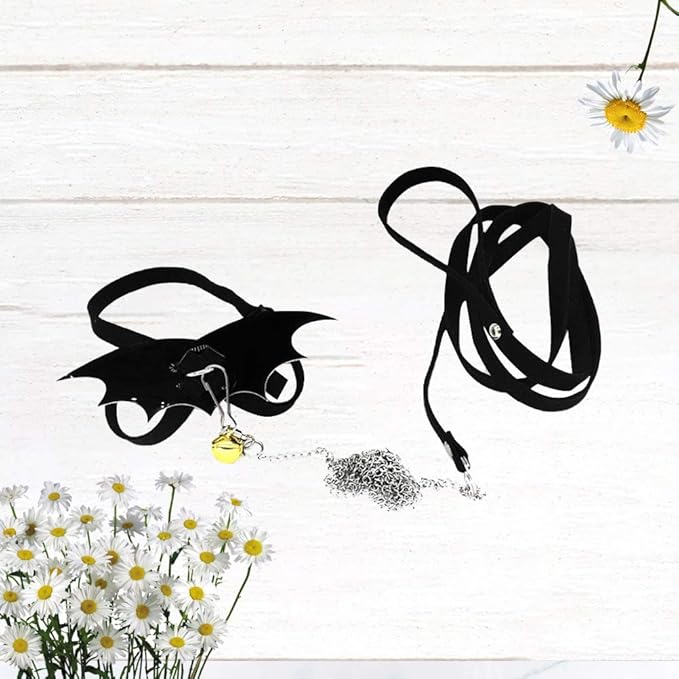 POPETPOP Turtle Harness and Leash Set : Tortoise Harness Strap with Wings Adjustable Collar Leash Walking Control Rope Great for Turtle (Black M) POPETPOP