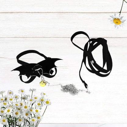 POPETPOP Turtle Harness and Leash Set : Tortoise Harness Strap with Wings Adjustable Collar Leash Walking Control Rope Great for Turtle (Black M) POPETPOP