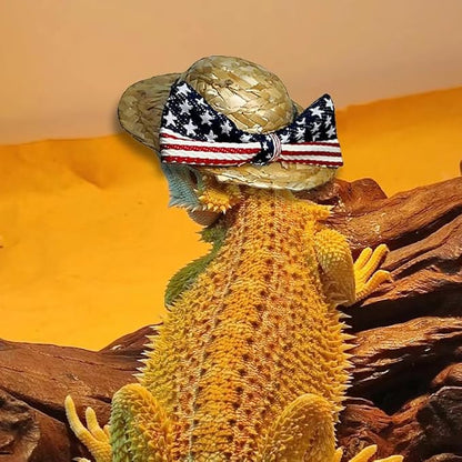 Bearded Dragon Pet Caps Tiny Pet Costume Supplies Party Daily Decor Small pet Adjustable for Bearded Dragon Lizard Reptiles HOKABLE