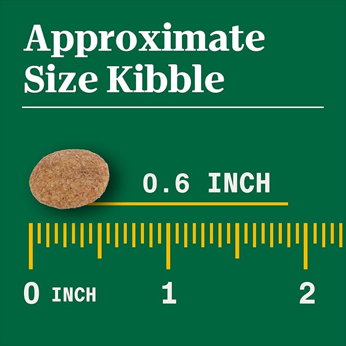 Nutro Natural Choice Adult Large Breed Dry Dog Food, Chicken and Brown Rice Recipe, 30 lbs. - PAWPICO