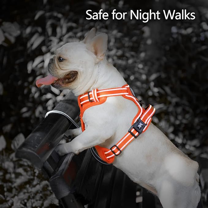 PoyPet No Pull Dog Harness, No Choke Reflective Dog Vest, Adjustable Pet Harnesses with Easy Control Padded Handle for Small Medium Large Dogs(Orange Matching Trim,XS) PoyPet
