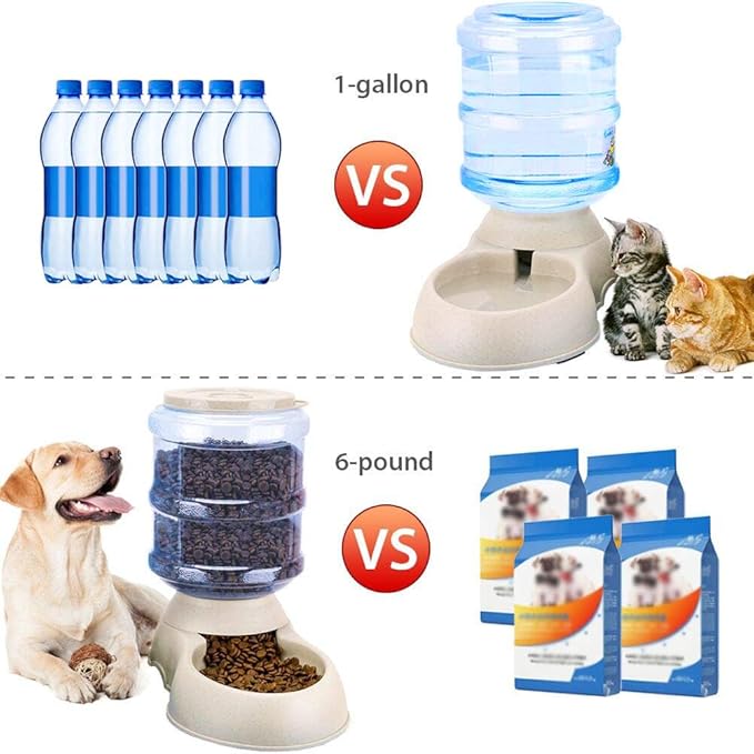 Pet Feeding Solution Automatic Cat & Dog Cafe Feeder and Water Dispenser in Set with Food Scoop - Ito Rocky 6-Meal Automatic Food Dispenser for Small/Middle Puppy and Kitten - PAWPICO