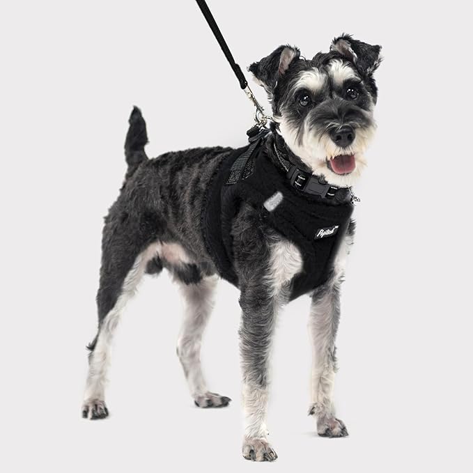 PUPTECK Adjustable Dog Harness Collar and Leash Set Step in No Pull Pet Harness for Small Medium Dogs Puppy and Cats Outdoor Walking Running, Soft Mesh Padded Reflective Vest Harnesses, Black S PUPTECK