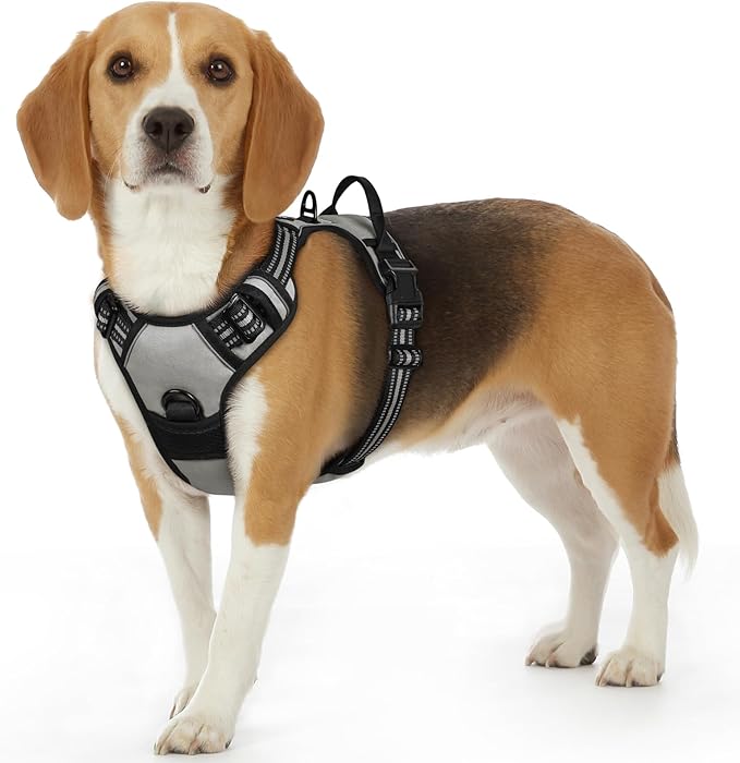Eagloo Dog Harness Small Sized Dog, No Pull Service Vest with Reflective Strips and Control Handle, Adjustable and Comfortable for Easy Walking, No Choke Pet Harness with 2 Metal Rings, Grey, S GoExplorewithEagloo