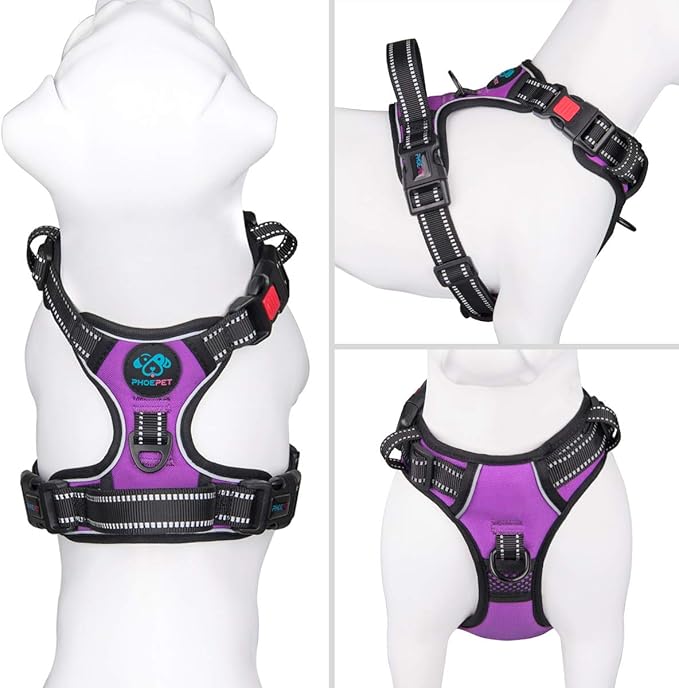 PHOEPET No Pull Dog Harnesses for Small Dogs Reflective Adjustable Front Clip Vest with Handle 2 Metal Rings 3 Buckles [Easy to Put on & Take Off](XS, Purple) PHOEPET