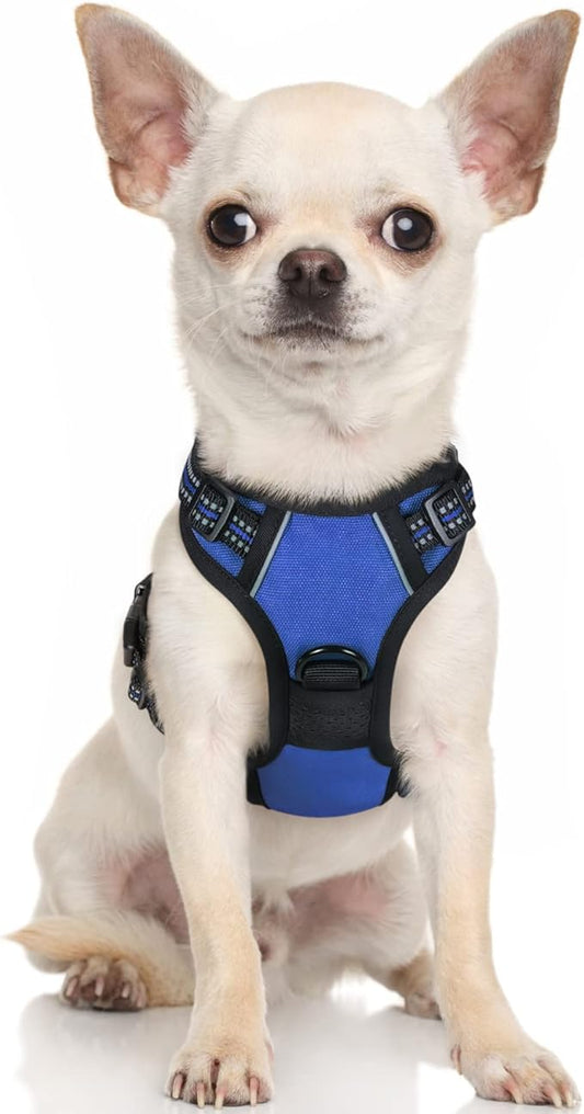 rabbitgoo Dog Harness, No-Pull Pet Harness with 2 Leash Clips, Adjustable Soft Padded Dog Vest, Reflective No-Choke Pet Oxford Vest with Easy Control Handle for Small Dogs, Dazzling Blue,XS - PAWPICO