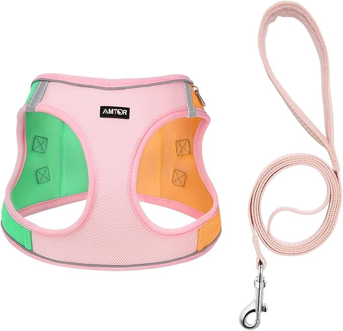AMTOR Small Dog Harness with Leash Set, No Escape Easy Walk Puppy Harnesses for Training Walking, Step-in Reflective Soft Dogs Vest for XS S Medium Extra-Small Large Sized Dog(Pink/Orange) AMTOR