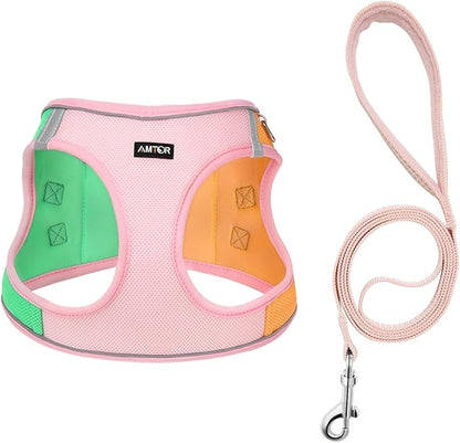 AMTOR Small Dog Harness with Leash Set, No Escape Easy Walk Puppy Harnesses for Training Walking, Step-in Reflective Soft Dogs Vest for XS S Medium Extra-Small Large Sized Dog(Pink/Orange) AMTOR