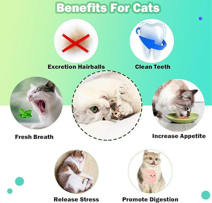 Cat Toys, 4 Packs Catnip Ball Toys, Nature Silvervine Stick Cage Cat Bell Balls, Catnip Toys for Cleaning Teeth, Relaxing Cats, for All Breeds - PAWPICO