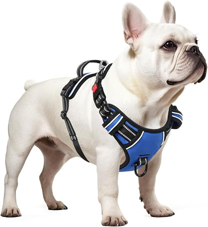 Timos Dog Harness, No Pull Dog Harness 3 Snap Buckles Adjustable Reflective No Choke Pet Vest for Small Dog with Soft Padded Control Training Handle for Outdoor Training,Blue, XS Timos