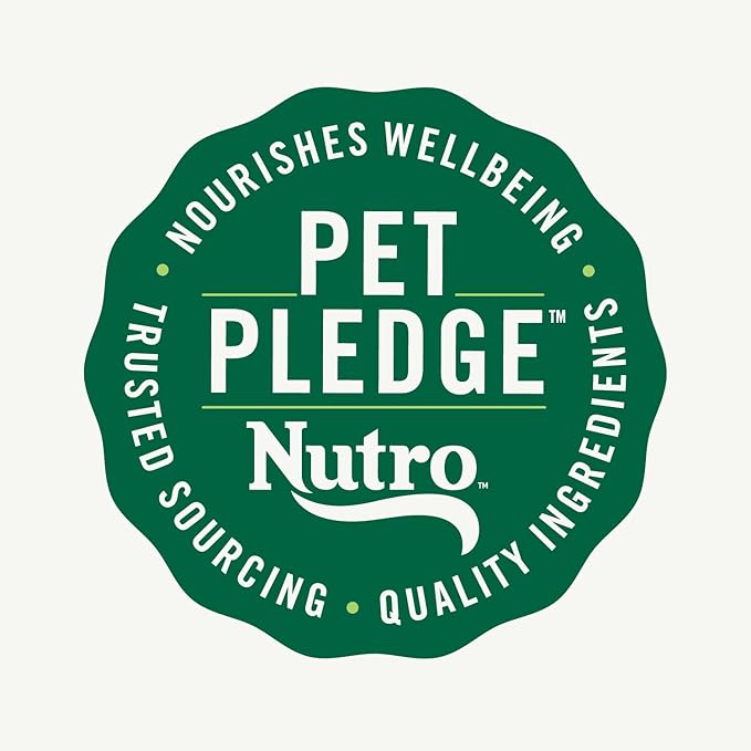 NUTRO Crunchy Dog Treats with Real Apple, 10 oz. Bag - PAWPICO