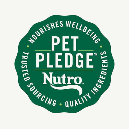 NUTRO Crunchy Dog Treats with Real Apple, 16 oz. Bag - PAWPICO