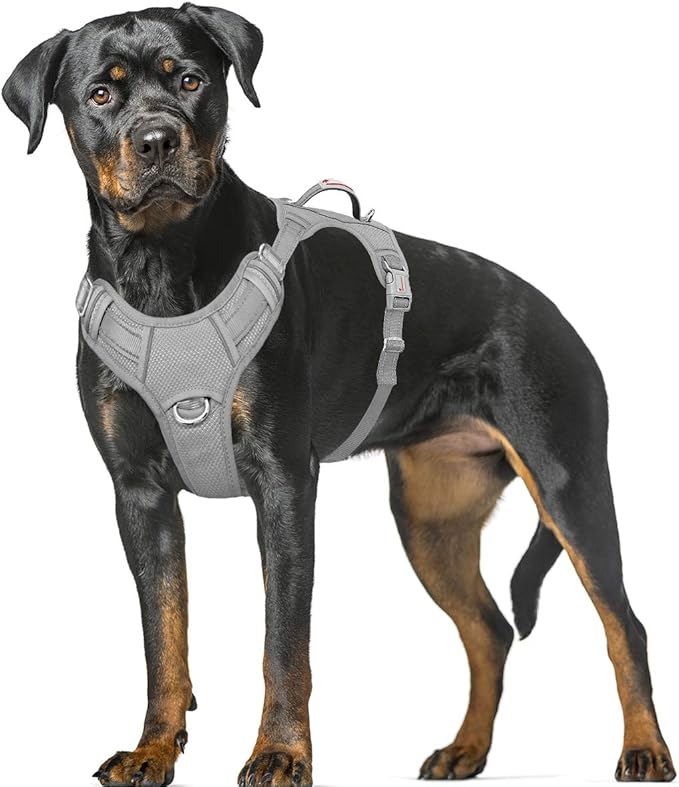 BARKBAY No Pull Dog Harness Large Reflective Dog Harness with Front Clip and Easy Control Handle for Walking Training Running with ID tag Pocket(Grey,XL) BARKBAY