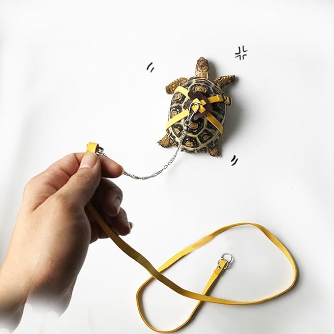 Vehomy Turtle leash Lizard Leash Tortoise Harness Strap Pet Collar Leash Tortoise Walking Lead Control Rope S Vehomy