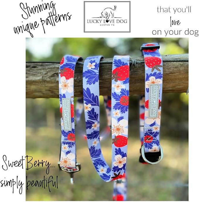 Lucky Love Dog Collars, Strawberry Cute Girl Dog Collar, X-Small Dog Collars for Females, Part of Purchase Donated to Rescue (Extra Small, Sweet Berry, Collar) LuckyLoveDog