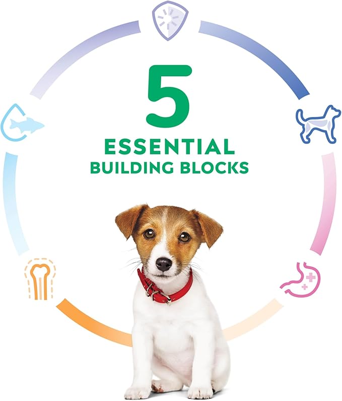 Hill's Science Diet Puppy, Puppy Premium Nutrition, Small Kibble, Dry Dog Food, Chicken & Brown Rice, 4.5 lb Bag - PAWPICO