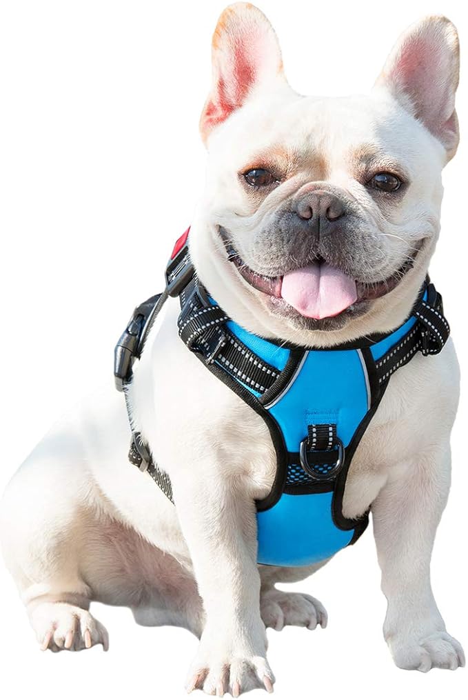 PHOEPET No Pull Dog Harnesses for Small Dogs Reflective Adjustable Front Clip Vest with Handle 2 Metal Rings 3 Buckles [Easy to Put on & Take Off](XS, Blue) PHOEPET