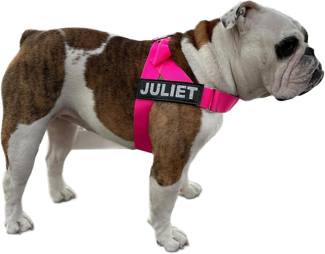 BULLHUG Harness – Made for Larger Chested Dogs Like English Bulldogs, French Bulldogs, Pugs & More. Stops Dogs from Pulling & Choking on Walks (NEON Pink, Large) BULLHUG