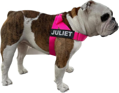 BULLHUG Harness – Made for Larger Chested Dogs Like English Bulldogs, French Bulldogs, Pugs & More. Stops Dogs from Pulling & Choking on Walks (NEON Pink, Large) BULLHUG