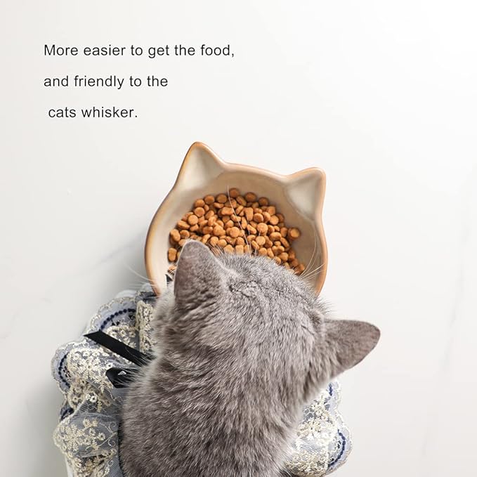 Nihow Ceramic Basic Cat Bowls: 5 Inch Cat Bowl for Food & Water - Food Grade Cat Dish for Small-Sized Cat - Microwave & Dishwasher Safe -Elegant Brown (4.25 OZ /1 PC) - PAWPICO