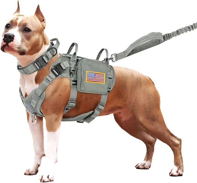 Forestpaw Tactical Dog Harness for Large Dogs,Tactical Dog Collar with Bungee Leash Set,No Pull Military Dog Harness for Dog Walking Training,Adjustable for Medium Large Dogs,Gray S Forestpaw