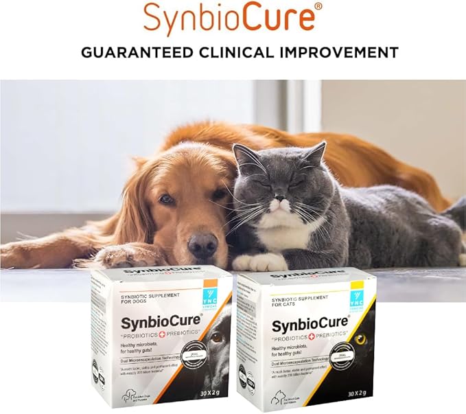 I Probiotics & Prebiotics for Cats I Powder Cat Supplement I Digestive Health Support I 200 Billion Bacteria Per Sachet I 30 Sachets*2 g PawsomeCure