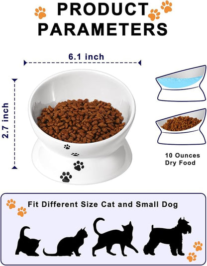 Y YHY Cat Food Bowl 6", Elevated Tilted Cat Bowl, Raised Cat Bowls for Adult Cats or Dogs, Ceramic Pet Food Water Dish 10 oz, White - PAWPICO