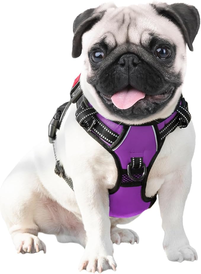 PHOEPET No Pull Dog Harnesses for Small Dogs Reflective Adjustable Front Clip Vest with Handle 2 Metal Rings 3 Buckles [Easy to Put on & Take Off](S, Purple) - PAWPICO